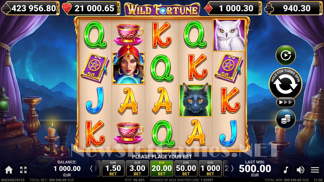 Wild Fortune Slot Game