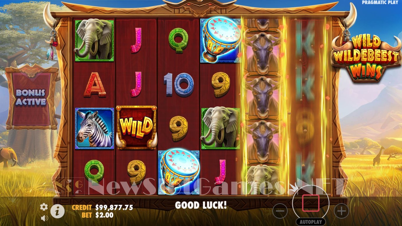 Wild Wildebeest Wins Slot Slot Image in Demo - pic. 6