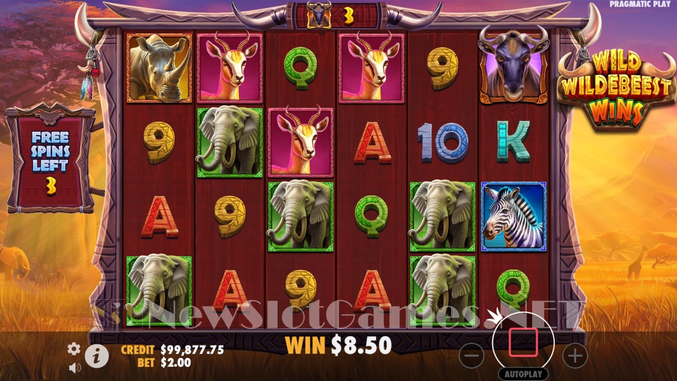 Wild Wildebeest Wins Slot Slot Image in Demo - pic. 8
