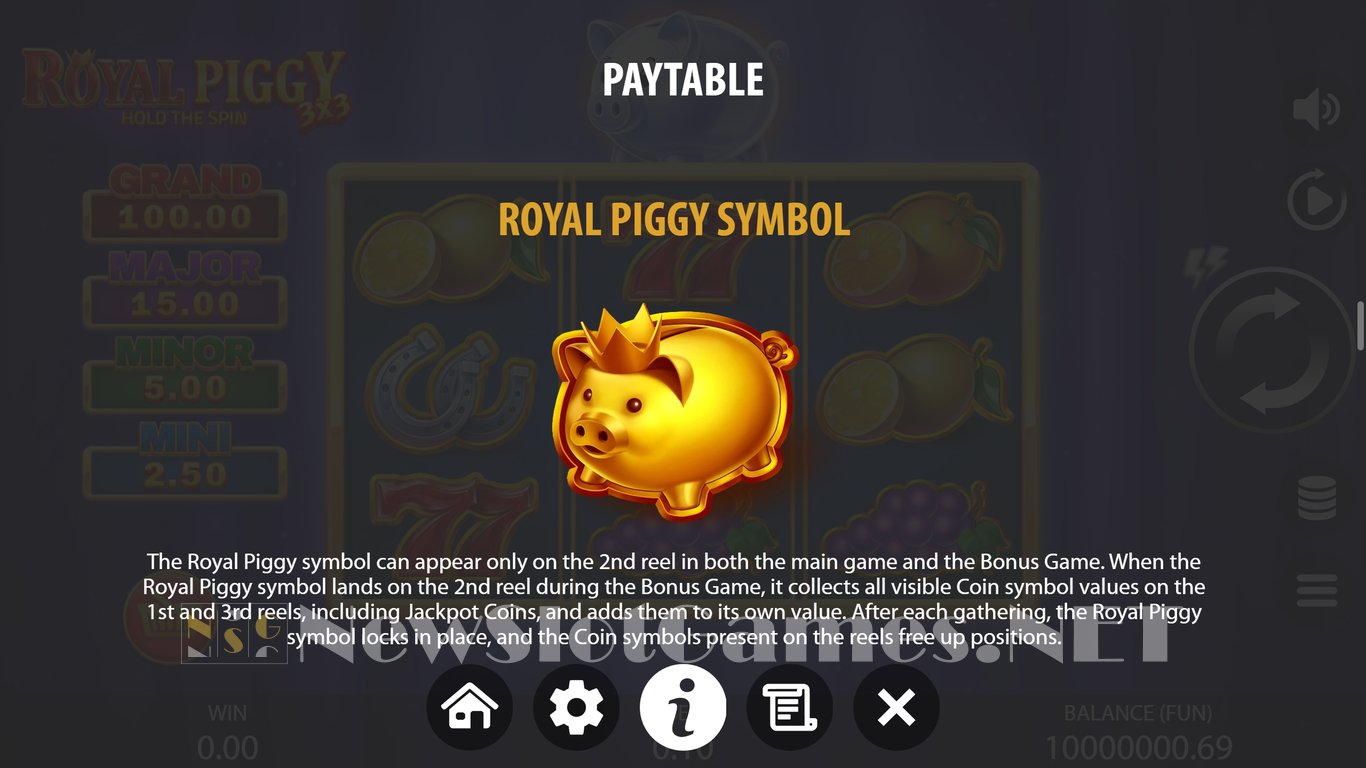 3x3 Royal Piggy Hold The Spin Slot Slot Image in Demo - pic. 6