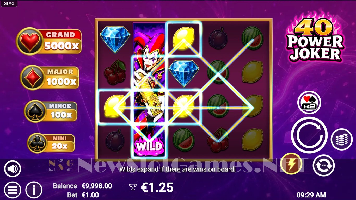 40 Power Joker Slot Slot Image in Demo - pic. 2