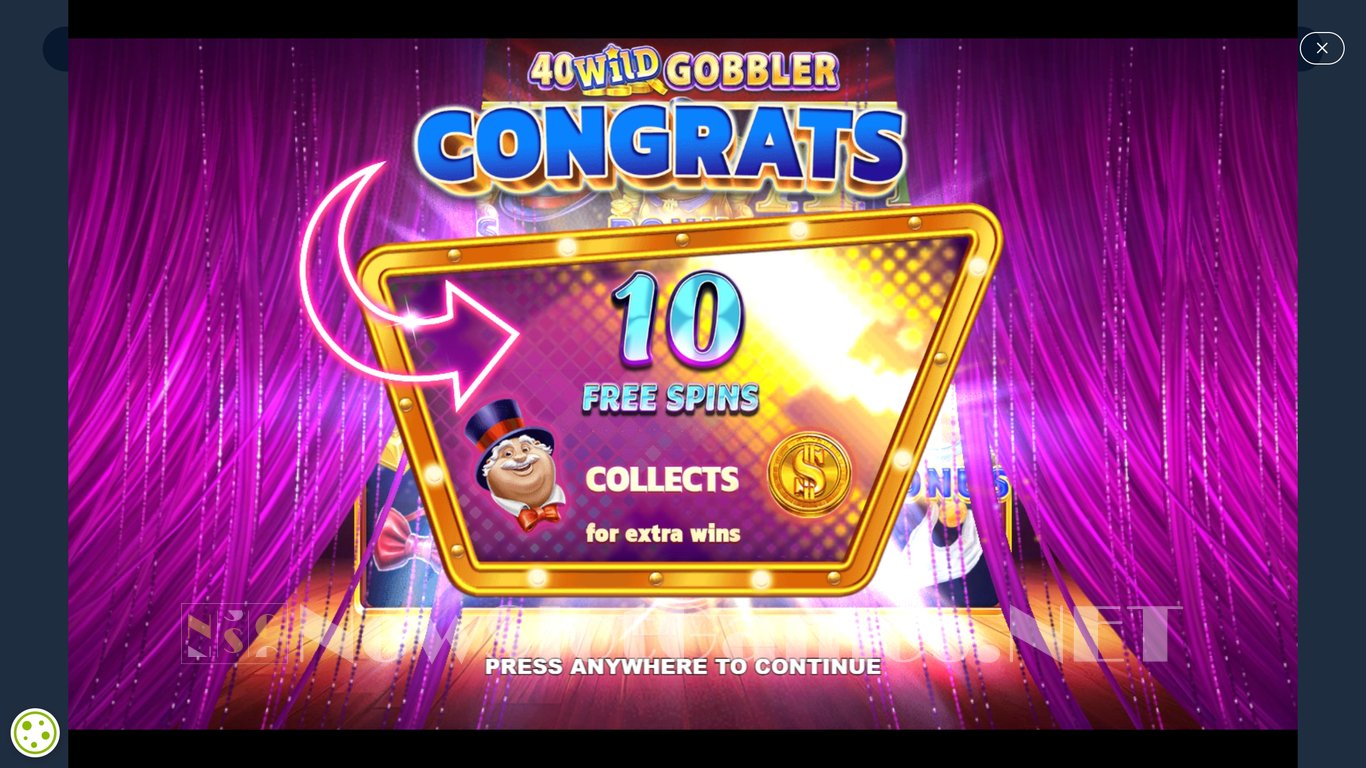 40 Wild Gobbler Slot Slot Image in Demo - pic. 6