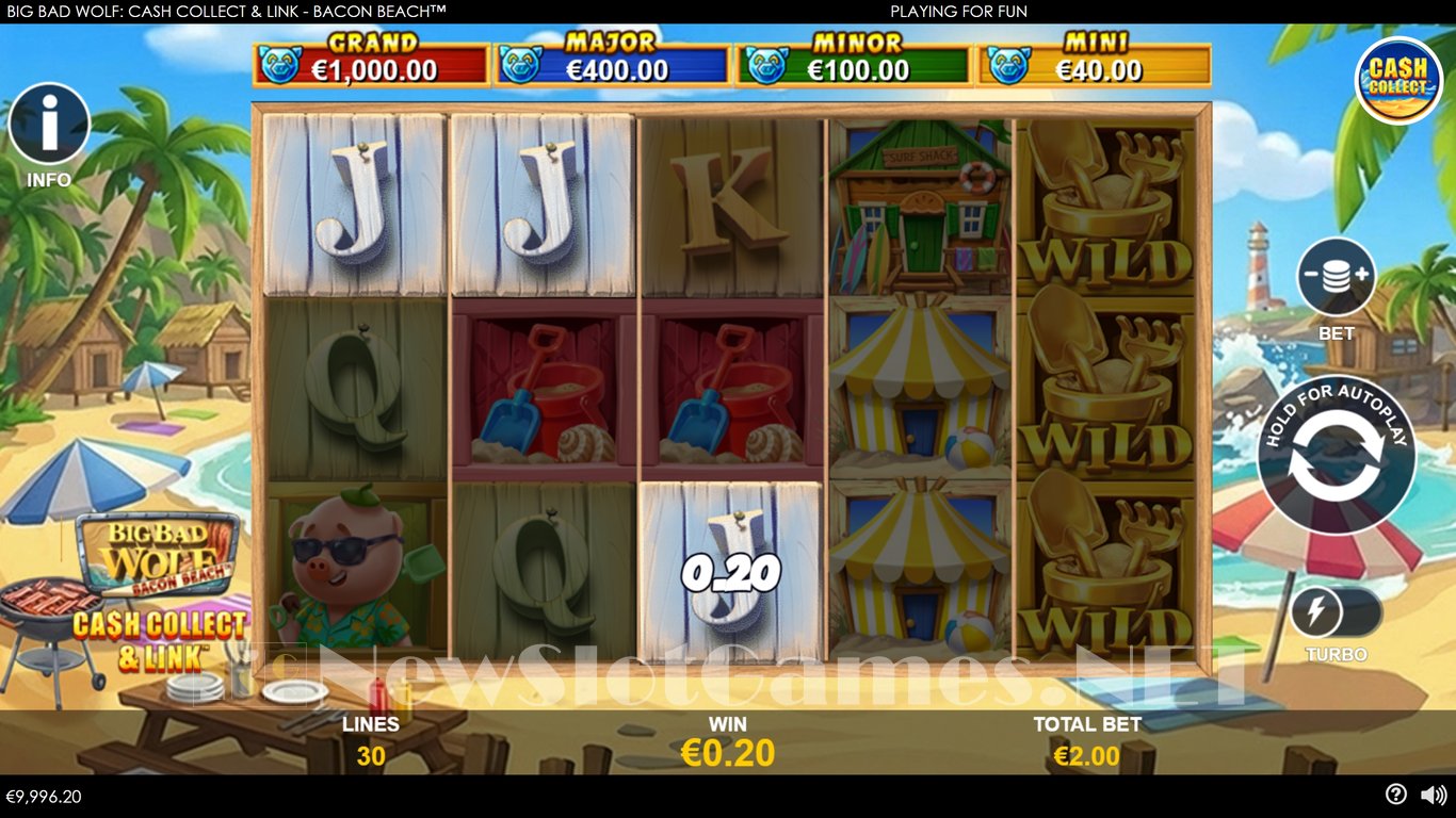 Big Bad Wolf Cash Collect & Link -Bacon Beach Slot Slot Image in Demo - pic. 2