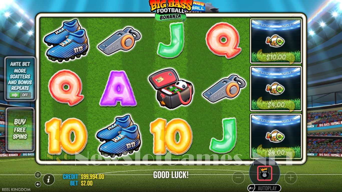 Big Bass Football Bonanza Slot Slot Image in Demo - pic. 3