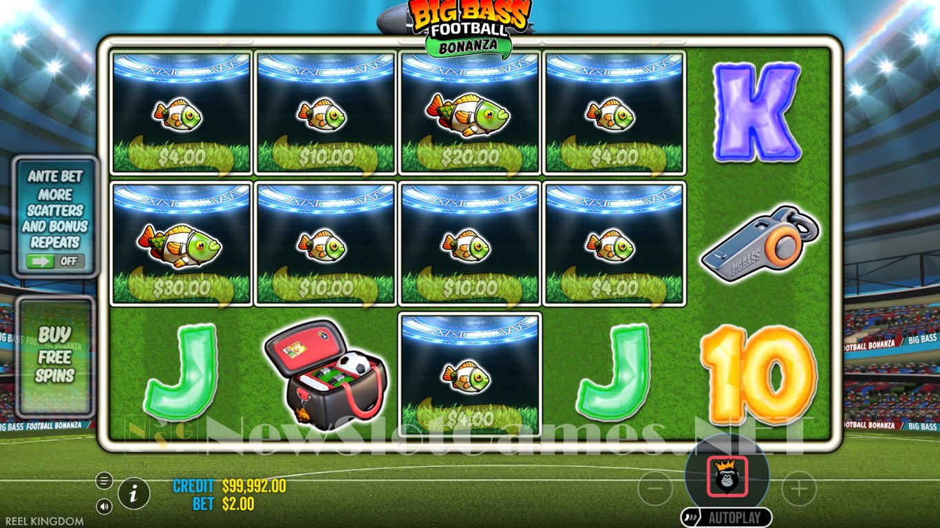 Big Bass Football Bonanza Slot Slot Image in Demo - pic. 4