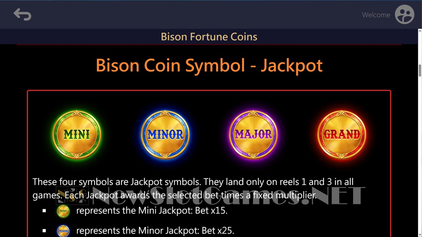 Bison Fortune Coins Slot Slot Image in Demo - pic. 6