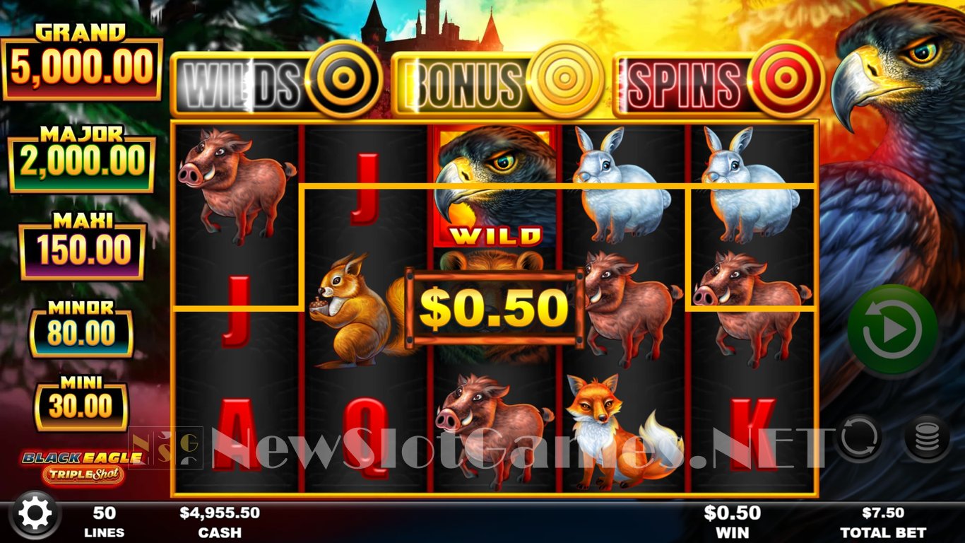 Black Eagle Triple Shot Slot Slot Image in Demo - pic. 2