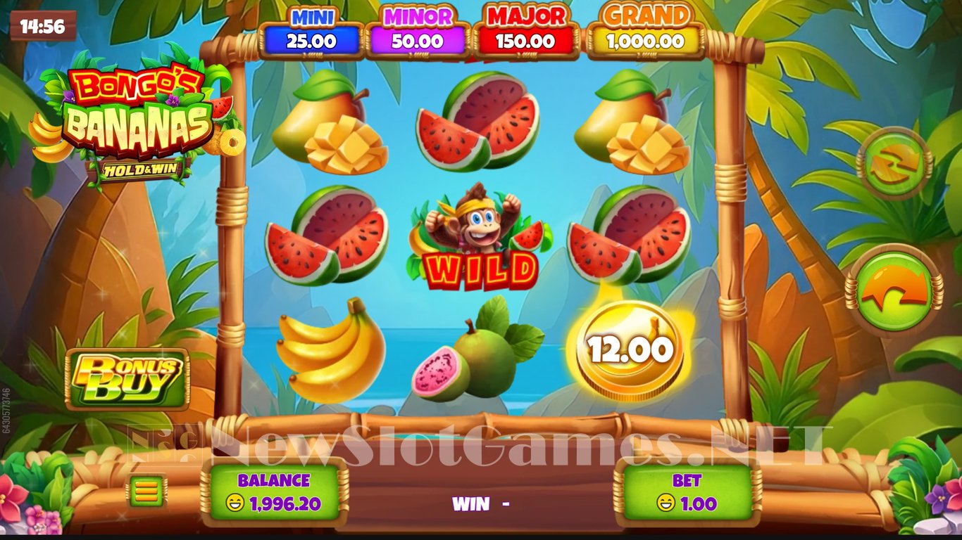 Bongos Bananas Slot Slot Image in Demo - pic. 3