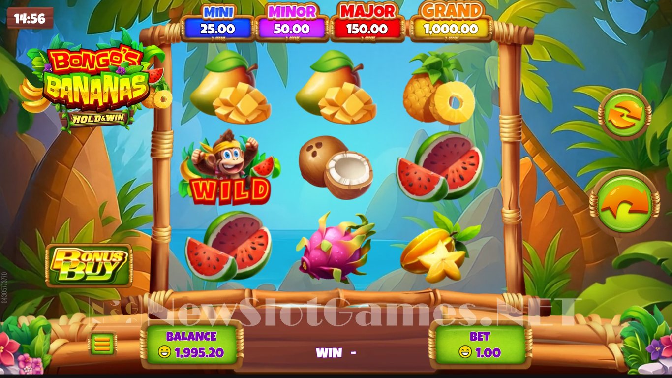 Bongos Bananas Slot Slot Image in Demo - pic. 4