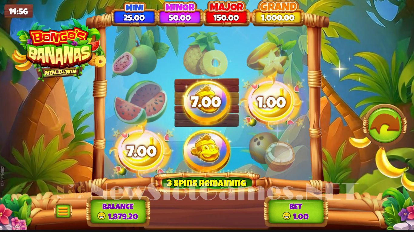 Bongos Bananas Slot Slot Image in Demo - pic. 7