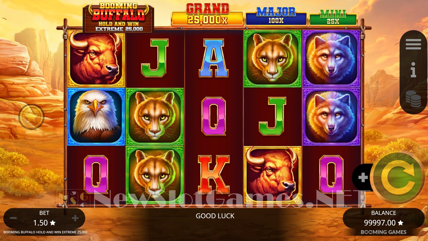 Booming Buffalo Hold and Win Extreme 25000 Slot Slot Image in Demo - pic. 4