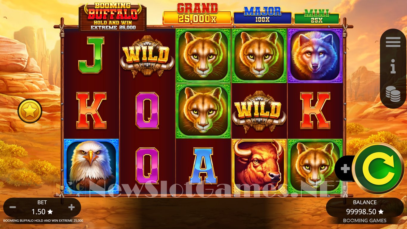 Booming Buffalo Hold and Win Extreme 25000 Slot Slot Image in Demo - pic. 8