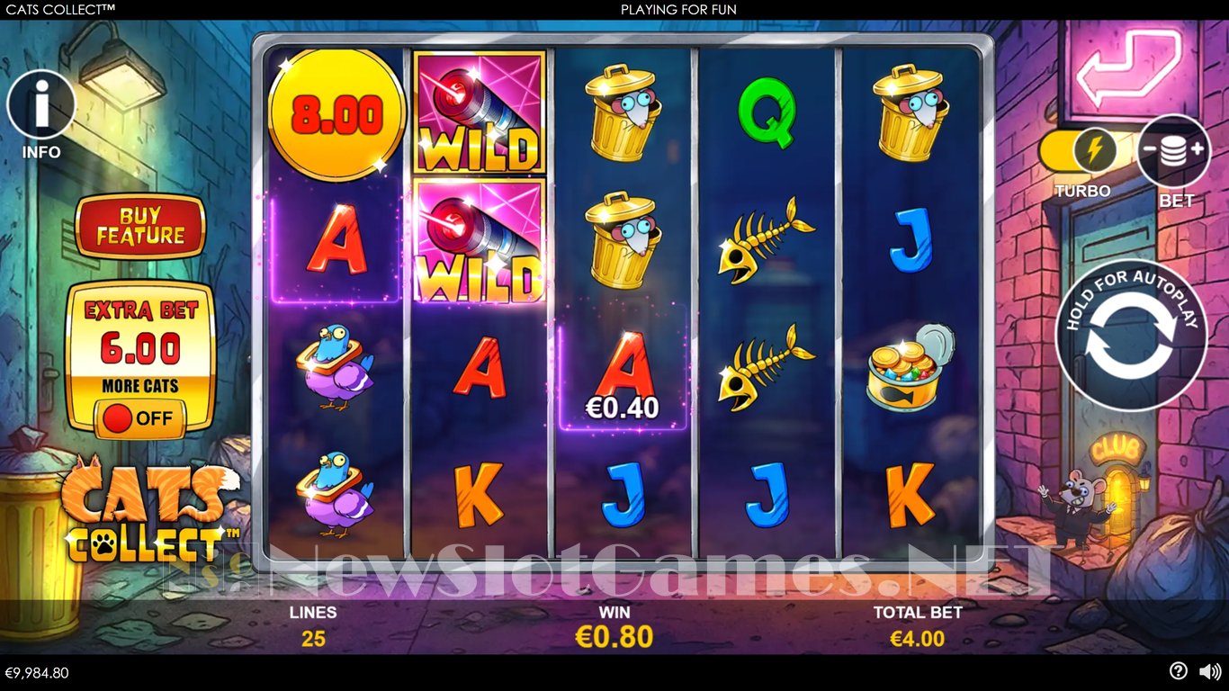 Cats Collect Slot Slot Image in Demo - pic. 2
