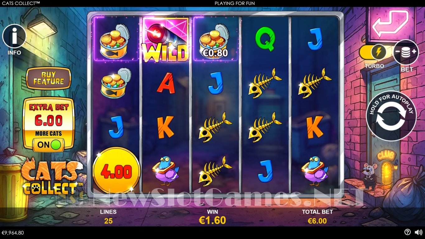 Cats Collect Slot Slot Image in Demo - pic. 3
