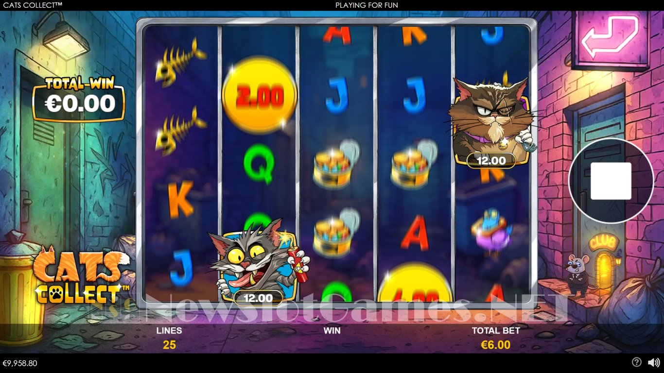 Cats Collect Slot Slot Image in Demo - pic. 5