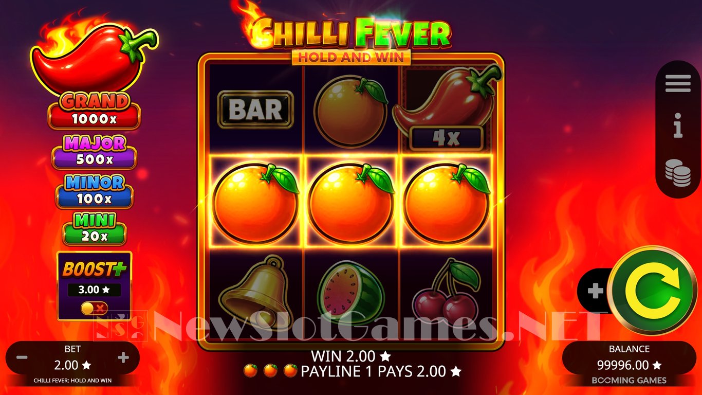 Chilli Fever Hold and Win Slot Slot Image in Demo - pic. 3
