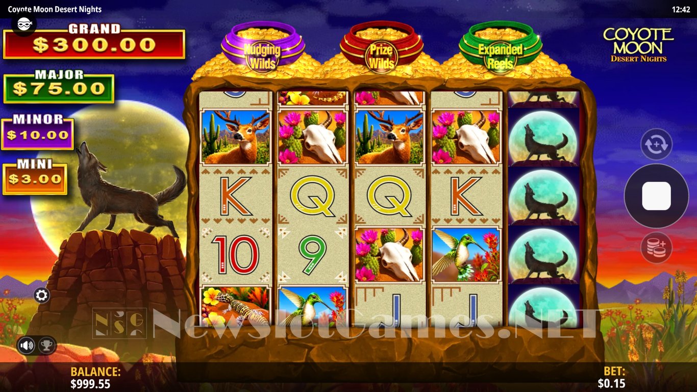 Coyote Moon Desert Nights Slot Slot Image in Demo - pic. 2
