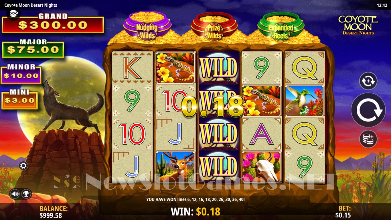 Coyote Moon Desert Nights Slot Slot Image in Demo - pic. 3
