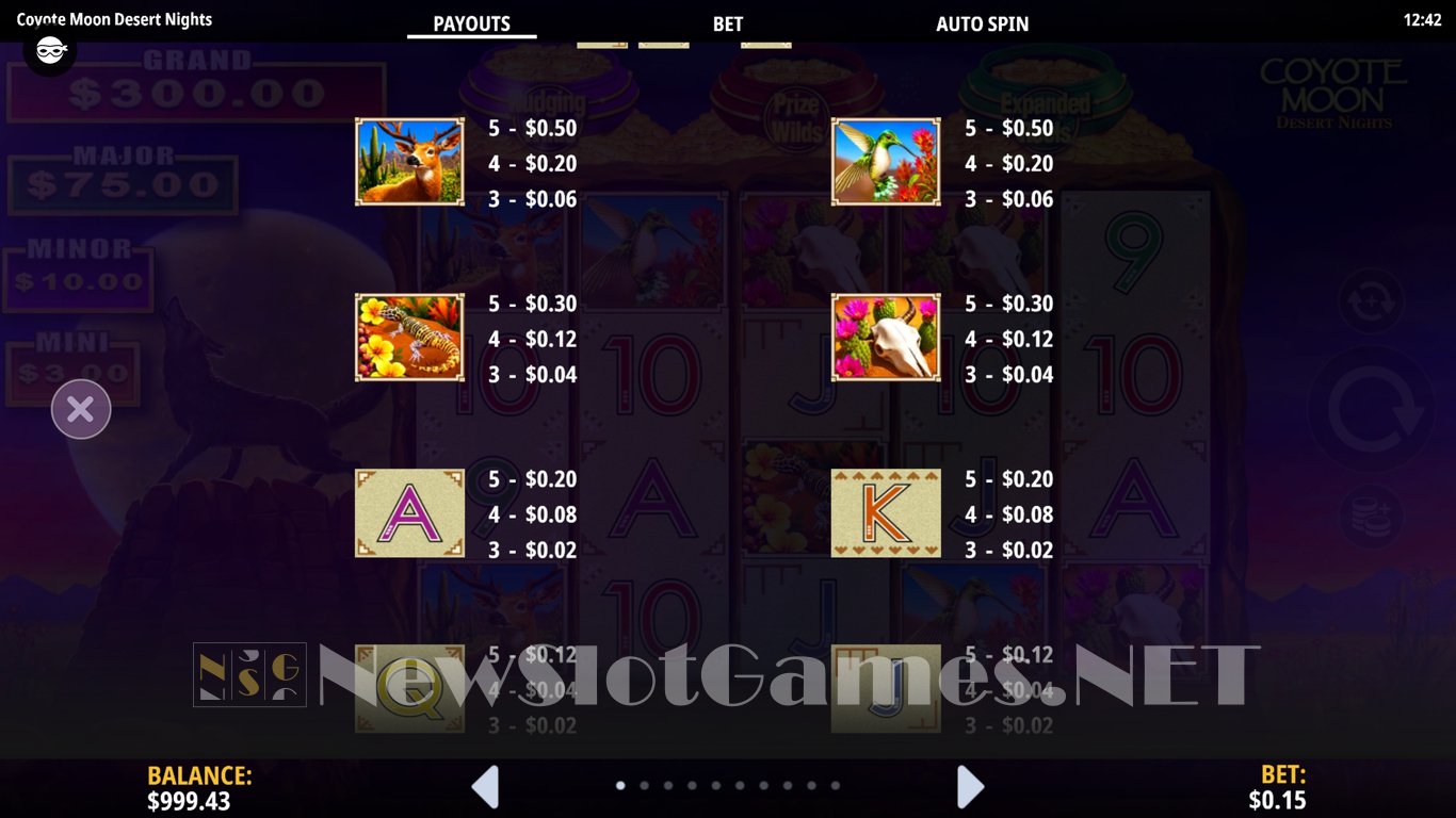 Coyote Moon Desert Nights Slot Slot Image in Demo - pic. 4