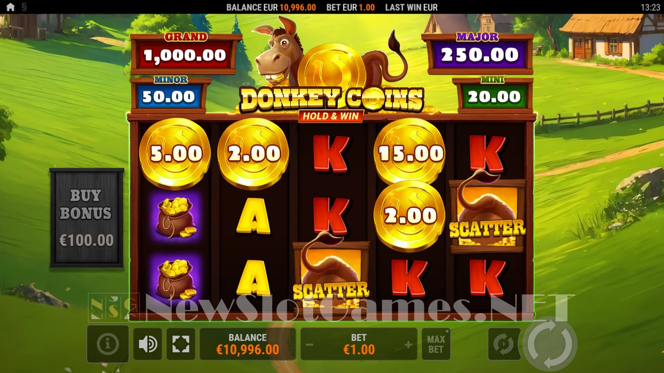 Donkey Coins Hold & Win Slot Slot Image in Demo - pic. 3