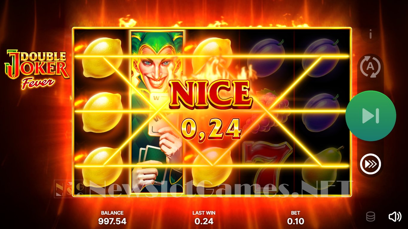 Double Joker Fever Slot Slot Image in Demo - pic. 3