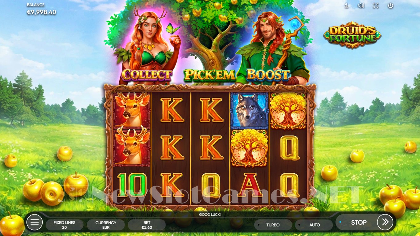 Druids Fortune Slot Demo Image