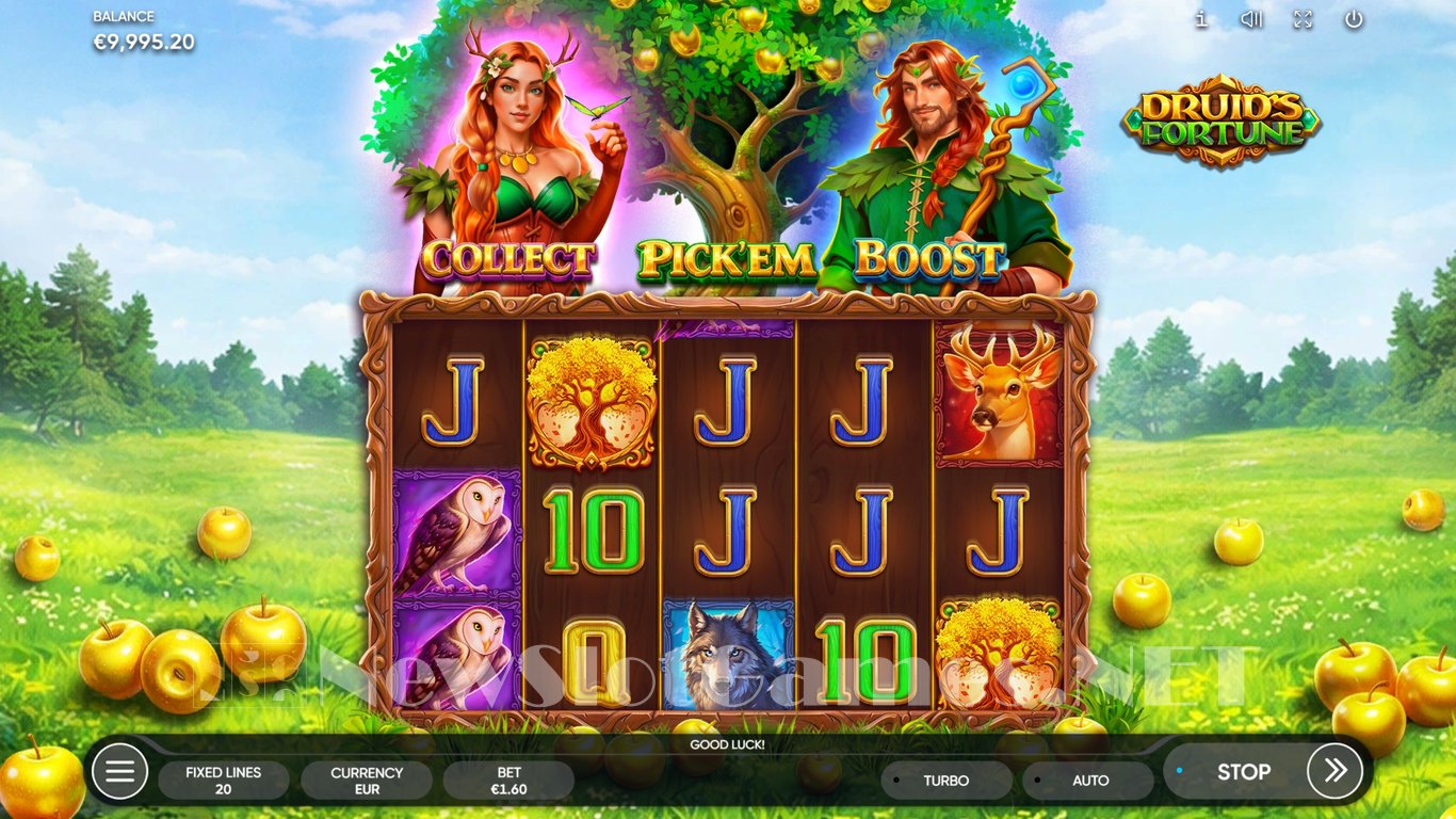 Druids Fortune Slot Slot Image in Demo - pic. 3