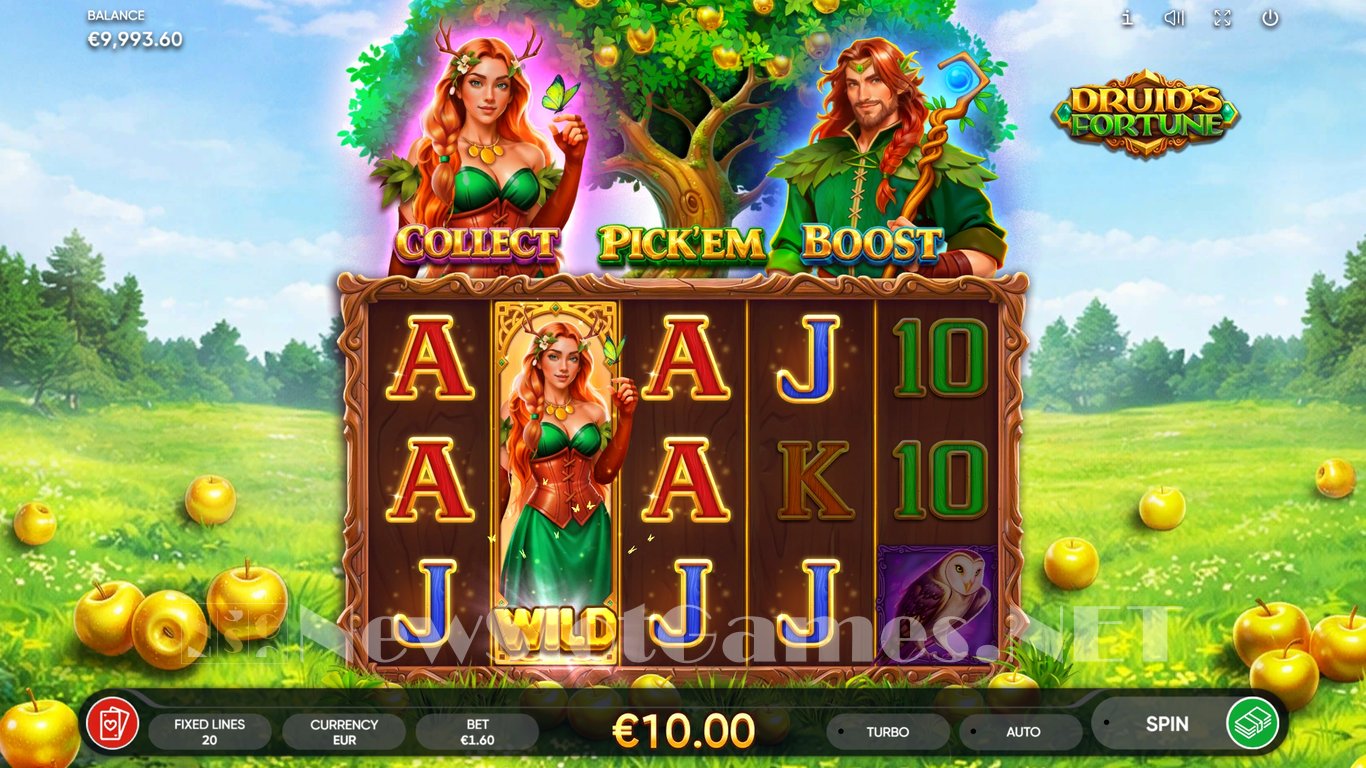 Druids Fortune Slot Slot Image in Demo - pic. 4