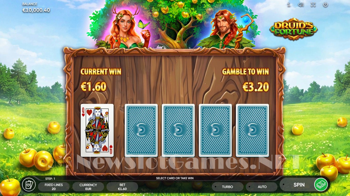 Druids Fortune Slot Slot Image in Demo - pic. 5