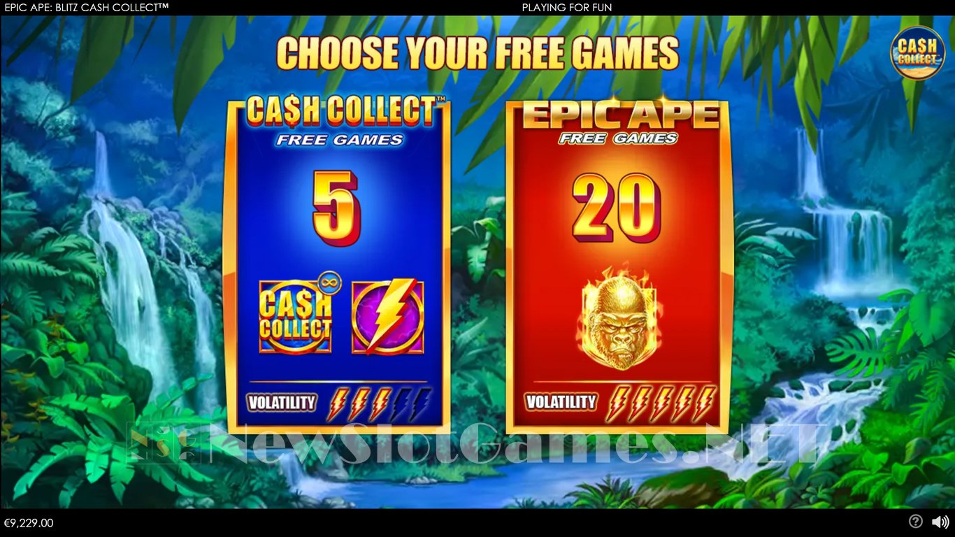 Epic Ape Blitz Cash Collect Slot Slot Image in Demo - pic. 5