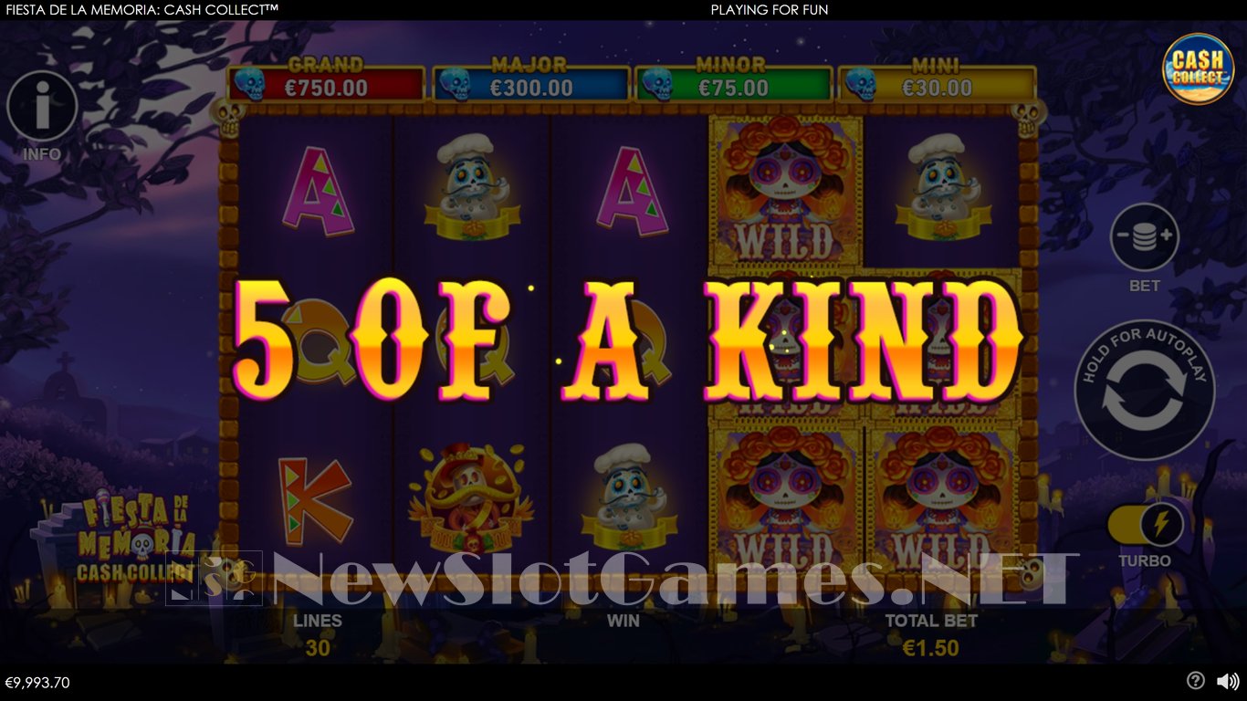 Fiesta de la Memoria Cash Collect Slot Slot Image in Demo - pic. 2