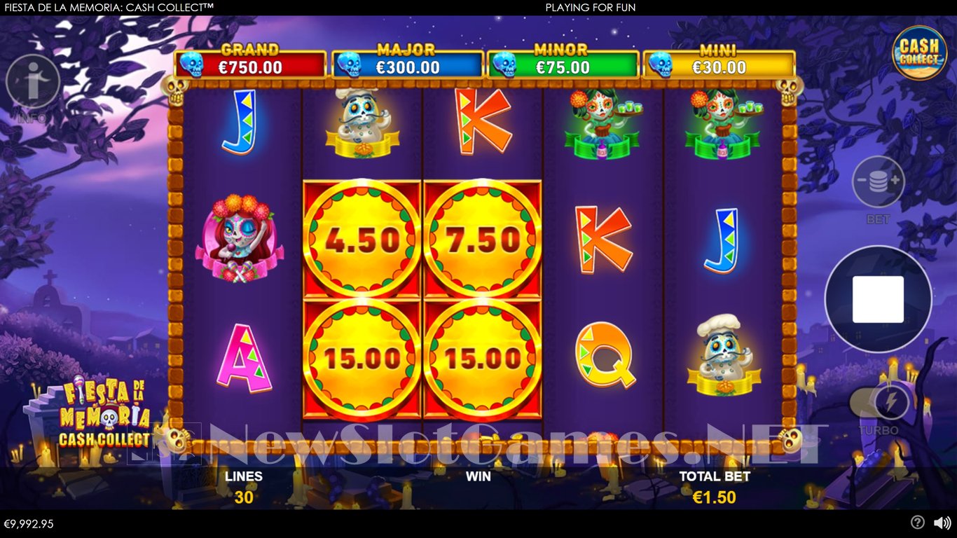 Fiesta de la Memoria Cash Collect Slot Slot Image in Demo - pic. 3