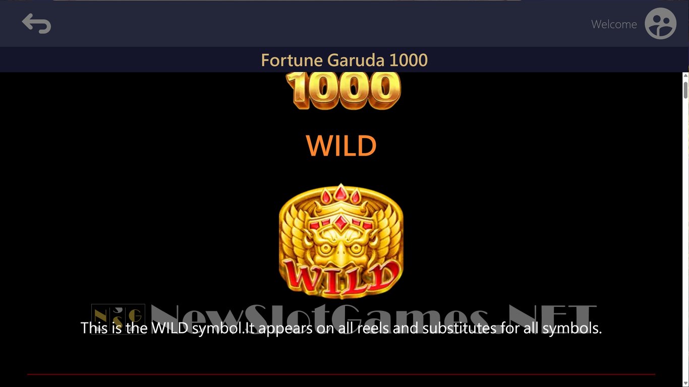 Fortune Garuda 1000 Slot Slot Image in Demo - pic. 4