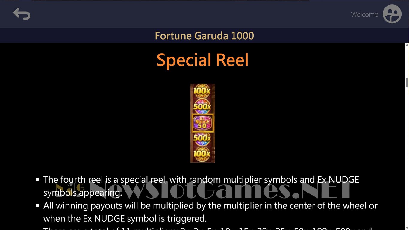 Fortune Garuda 1000 Slot Slot Image in Demo - pic. 5