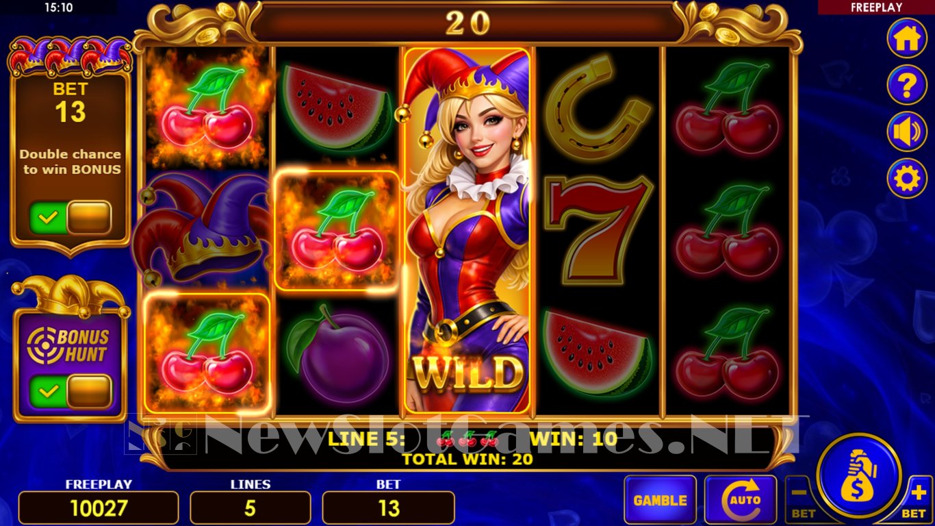 Fortune Joker 5 Slot Slot Image in Demo - pic. 6
