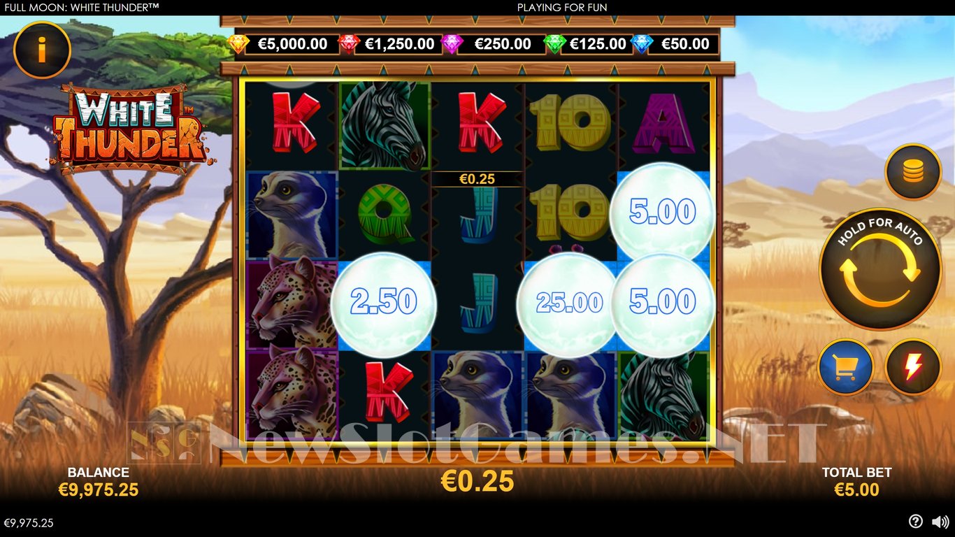 Full Moon White Thunder Slot Slot Image in Demo - pic. 2