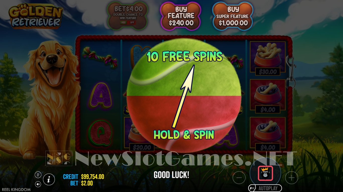 Golden Retriever Slot Slot Image in Demo - pic. 5