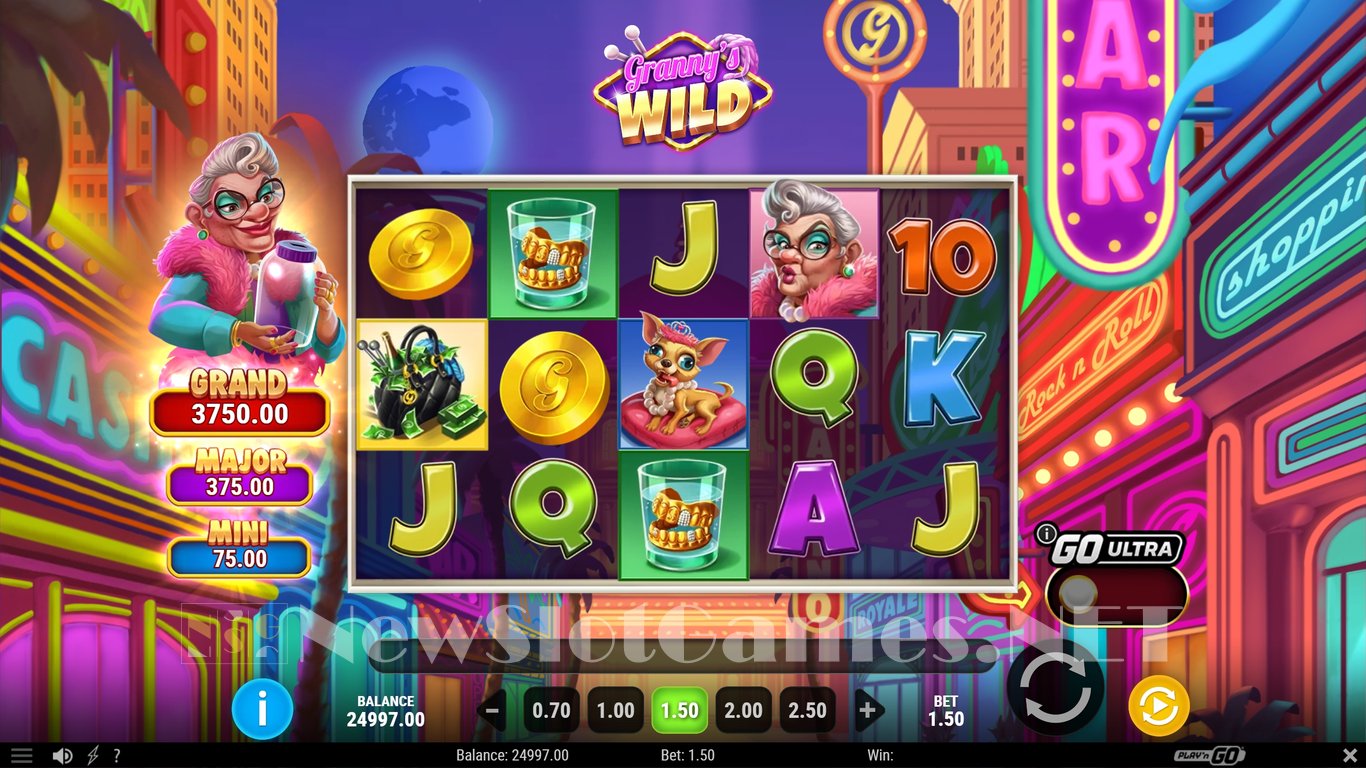 Grannys Wild Slot Slot Image in Demo - pic. 2