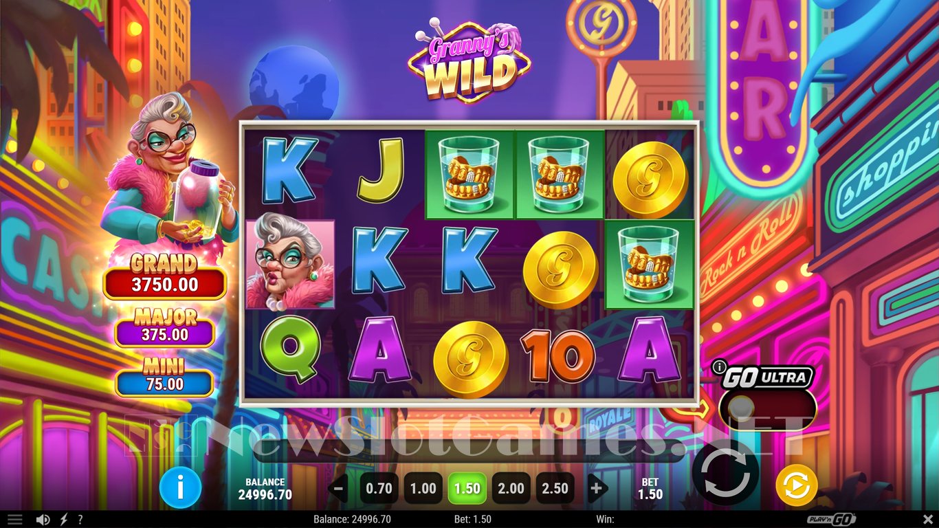 Grannys Wild Slot Slot Image in Demo - pic. 3