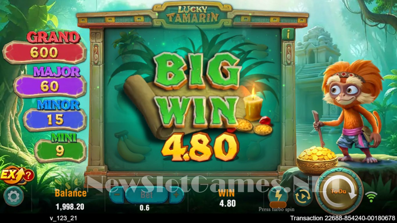 Lucky Tamarin Slot Slot Image in Demo - pic. 3