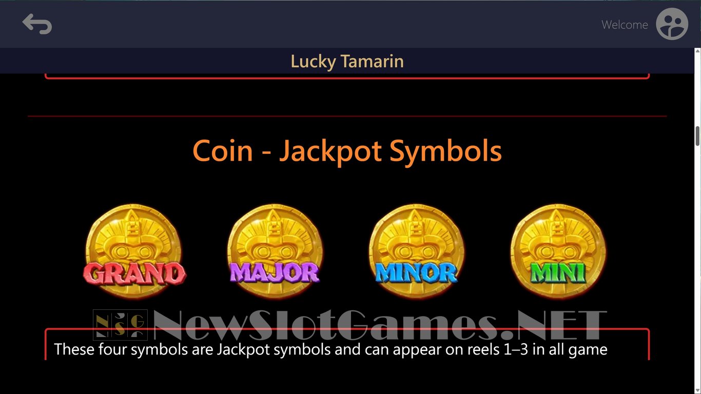 Lucky Tamarin Slot Slot Image in Demo - pic. 5