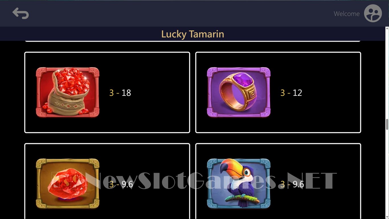 Lucky Tamarin Slot Slot Image in Demo - pic. 6