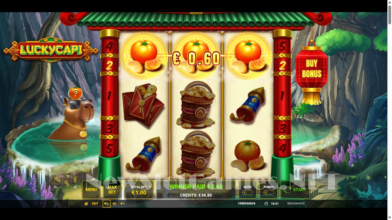 Luckycapi Slot Slot Image in Demo - pic. 4