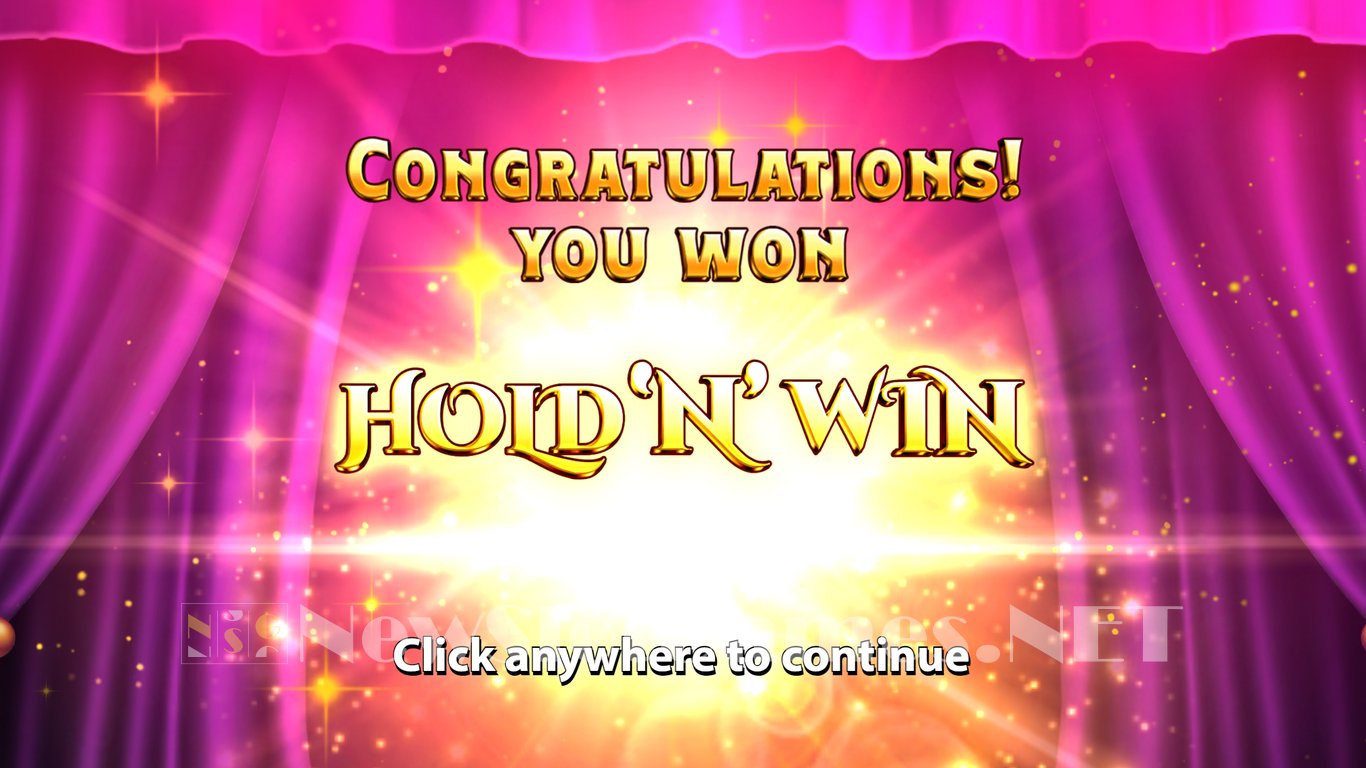 Mega Fortune Hold n Win Slot Slot Image in Demo - pic. 3