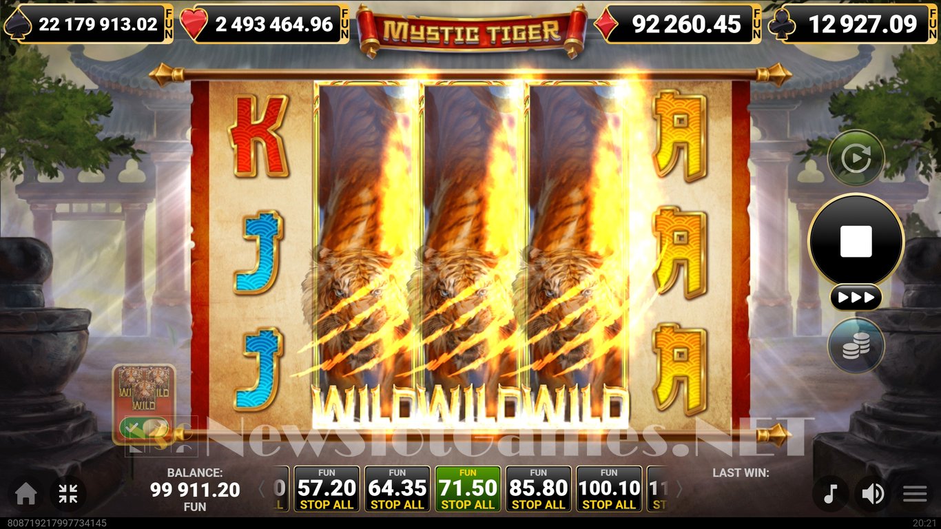 Mystic Tiger Slot Slot Image in Demo - pic. 5