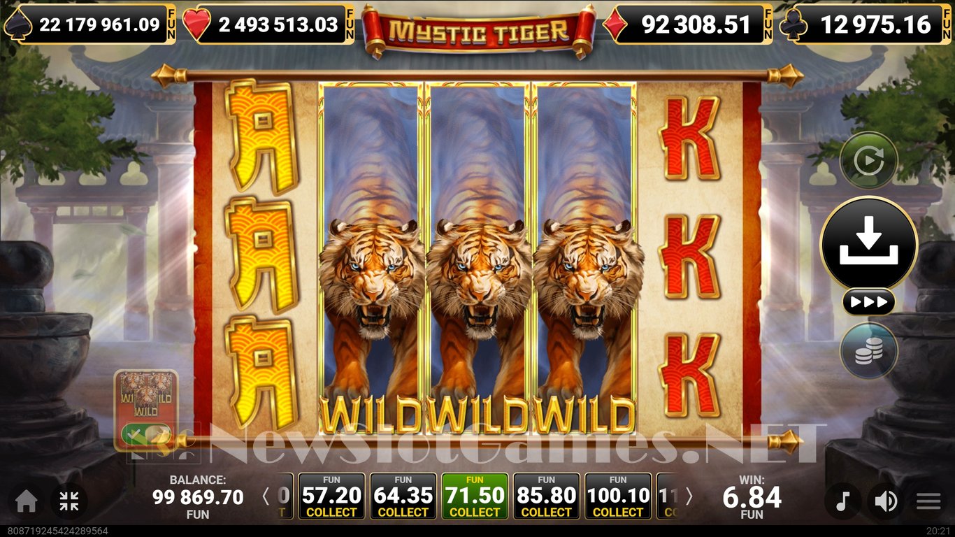 Mystic Tiger Slot Slot Image in Demo - pic. 6
