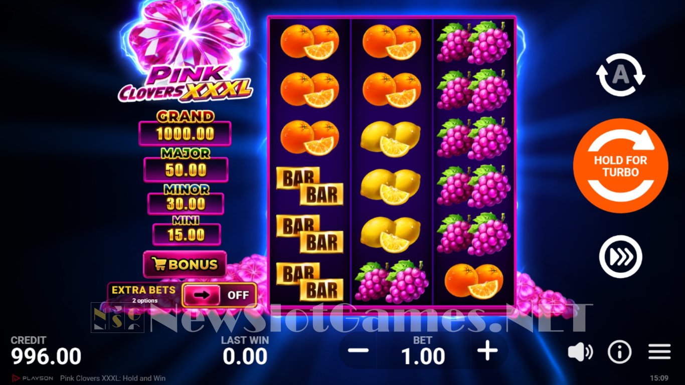 Pink Clovers XXXL Hold and Win Slot Slot Image in Demo - pic. 3