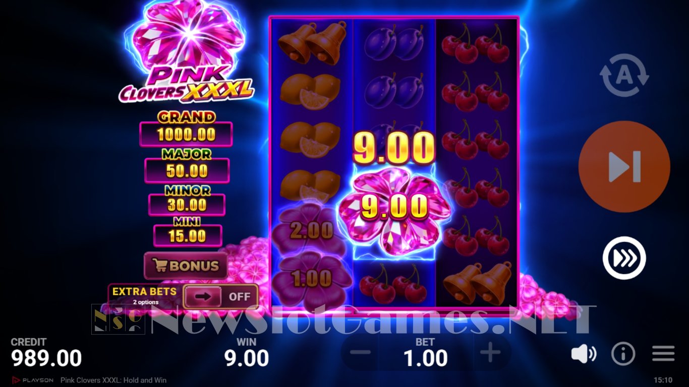Pink Clovers XXXL Hold and Win Slot Slot Image in Demo - pic. 6