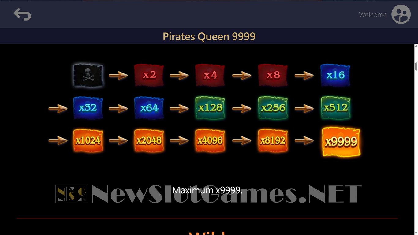 Pirate Queen 9999 Slot Slot Image in Demo - pic. 4