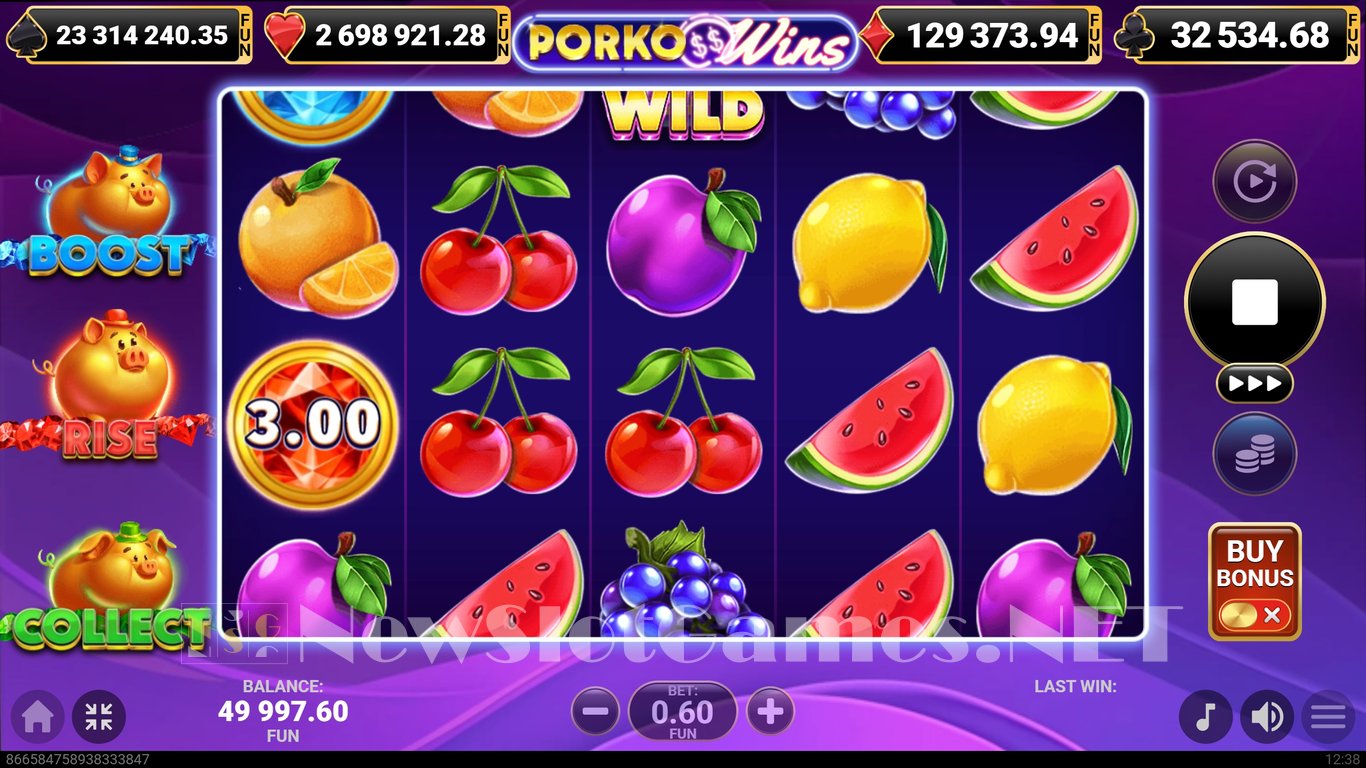 Porko Wins Slot Slot Image in Demo - pic. 2